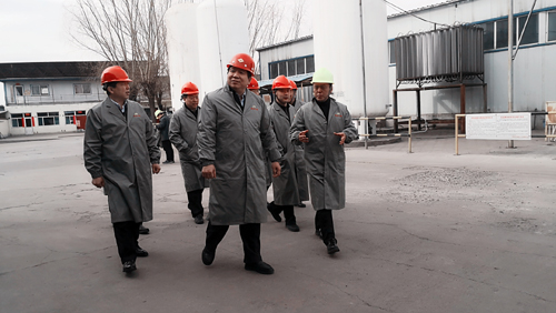 2019年3月8日张副市长到我公司视察指导工作