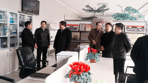 2019年3月8日张副市长到我公司视察指导工作